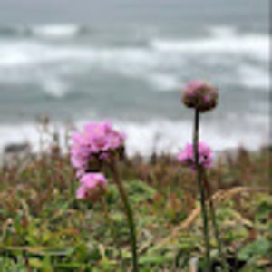 Meet your Posher, Lilya